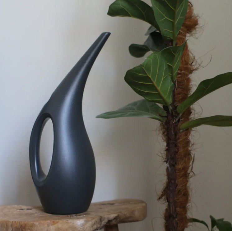 Компаткная лейка для комнатных.