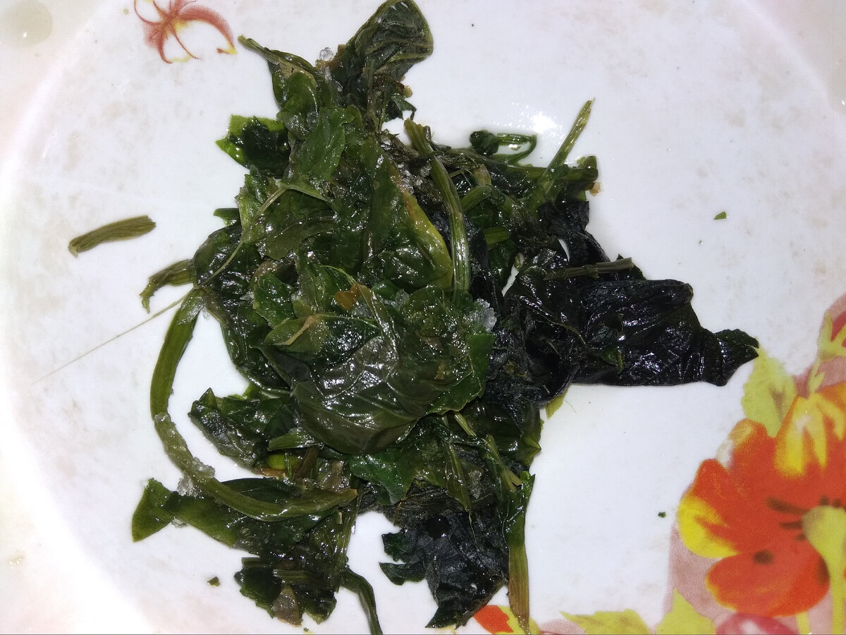 Крапива и щавель из морозилки (собирал в Июне)