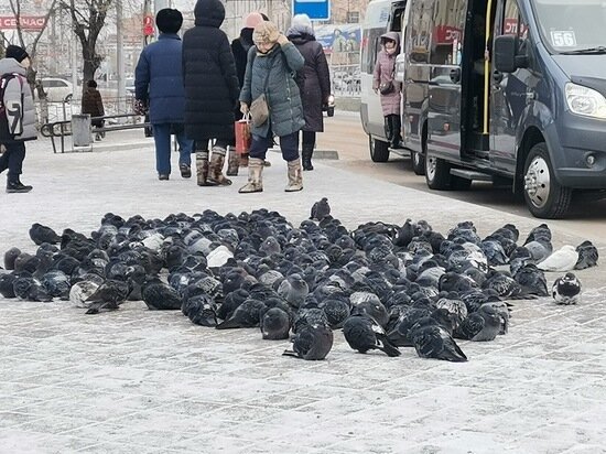   МК в Бурятии