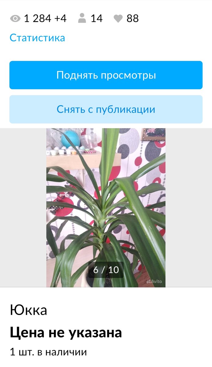 Скриншот автора