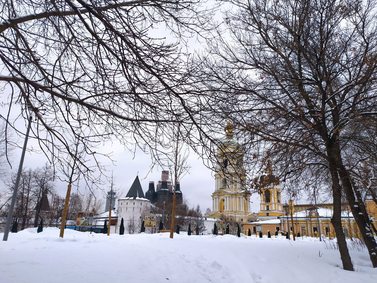 Вид на Новоспасский монастырь издалека