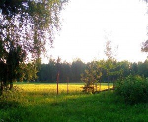 фото из интернета