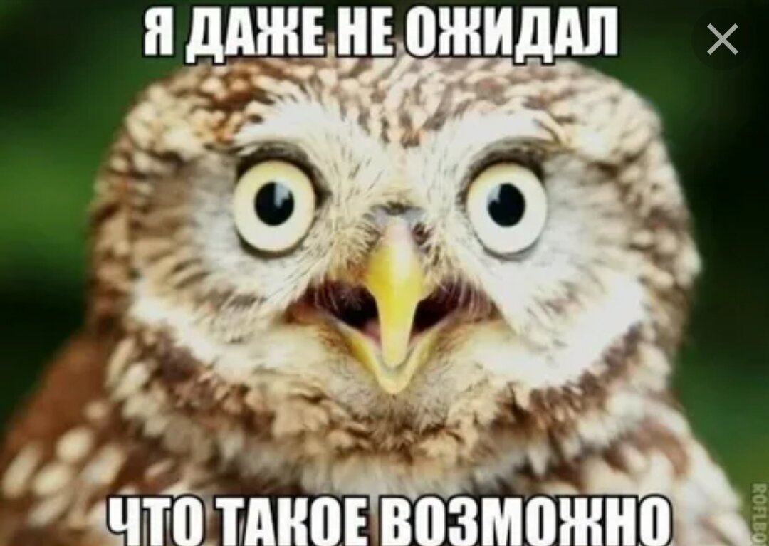 Фото из открытых источников. 