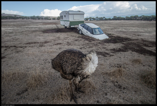 Весной в Южной Австралии, 2019. Фотограф buiobuione