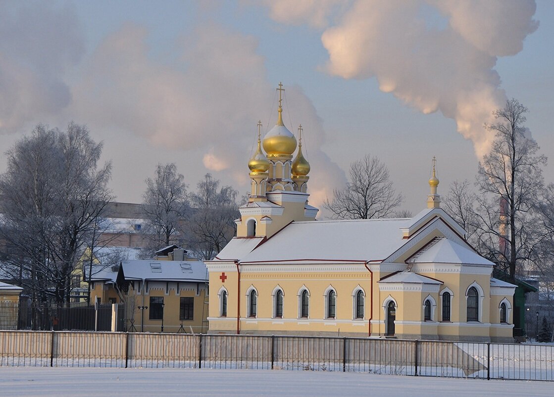 Фото из Интернета.Каюсь ,метель не позволила сделать свой удачный кадр.