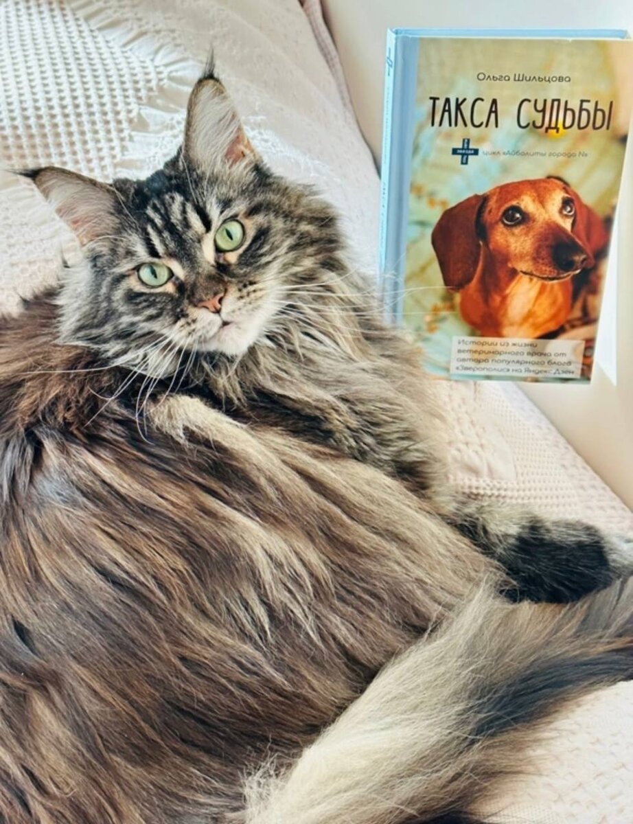 Пишите, бумага всё стерпит 