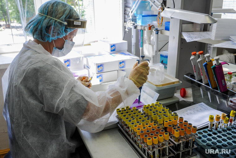    Для того чтобы понять, если ли иммунодефицит, необходимо сдать иммунограмму