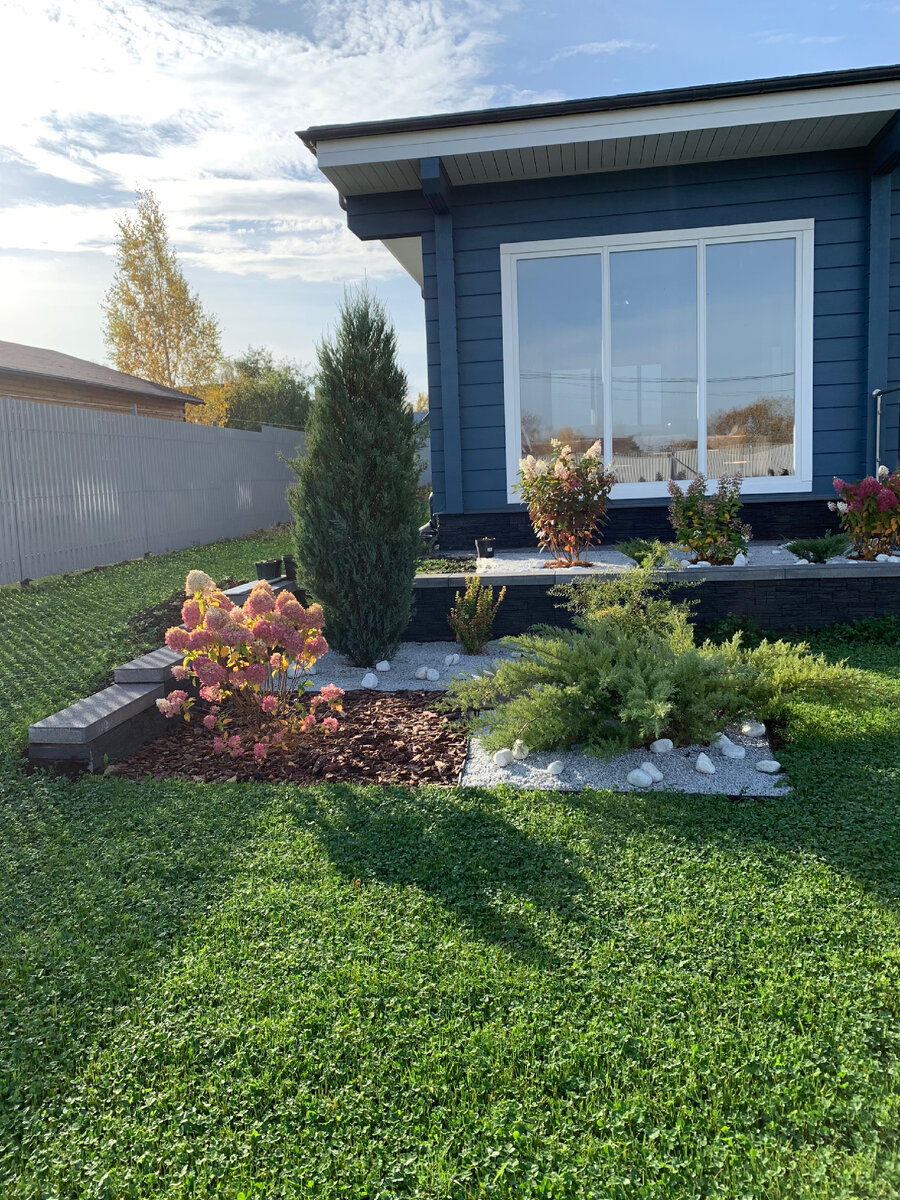 Sky rocket в моем саду