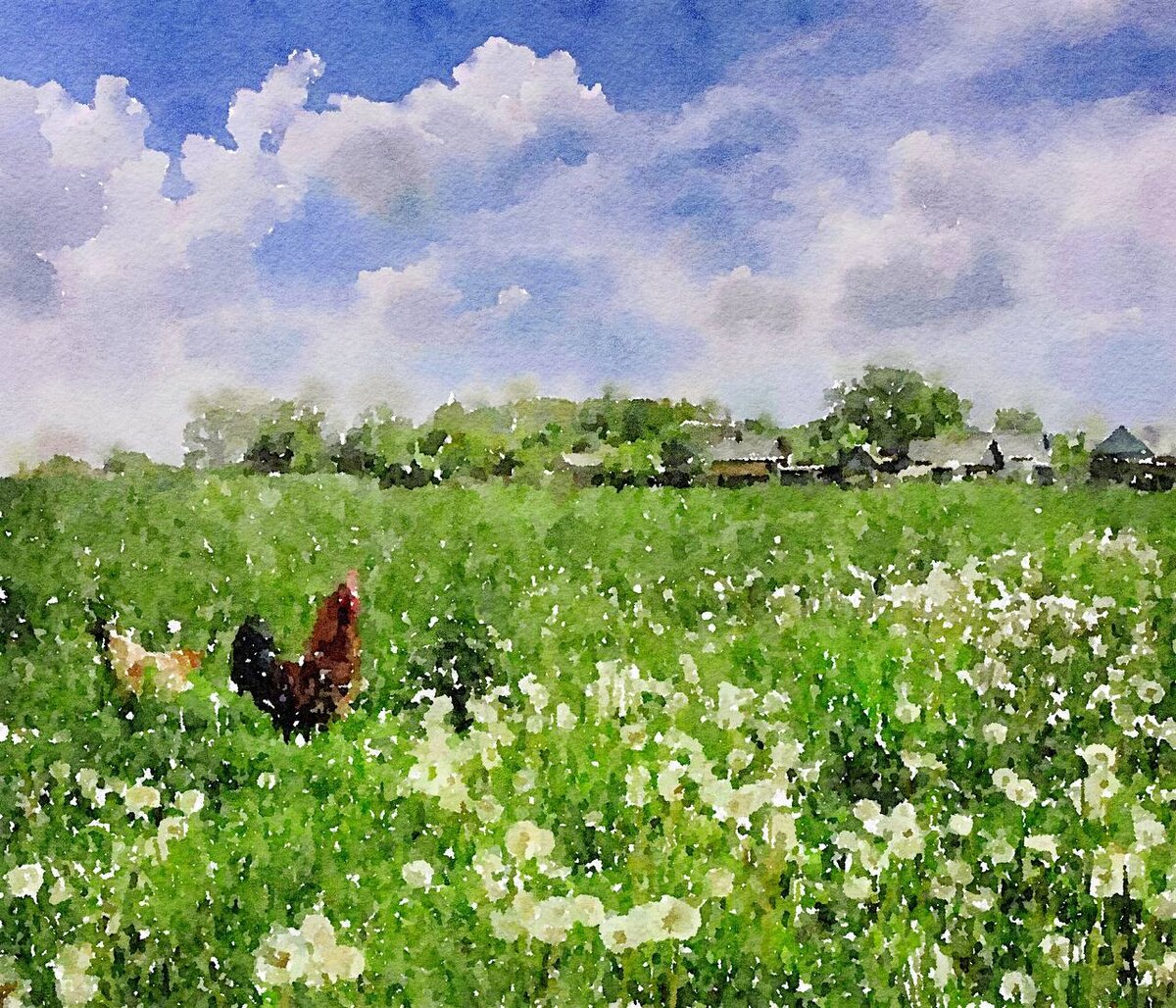 Акварель, лето 2021, Оренбург,Ростоши