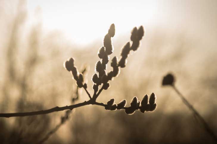    Фото Андрея Заржецкого