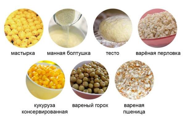 Выбор наживки