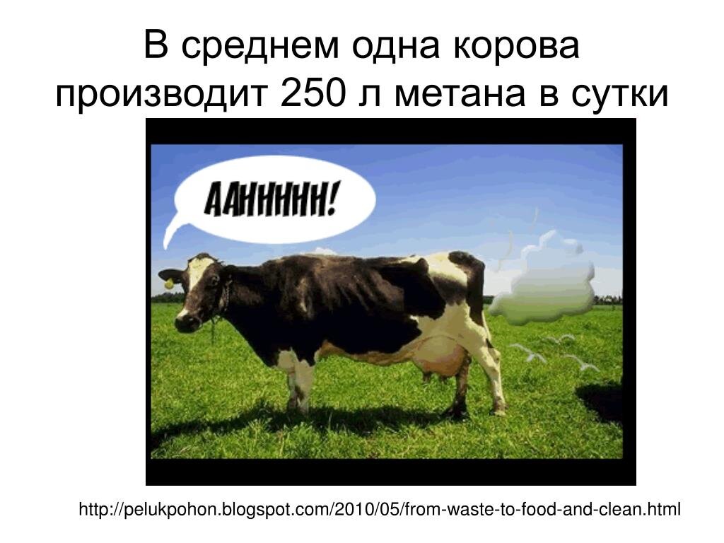 А ведь этот метан можно было бы собирать и использовать, если уж на то пошло...
