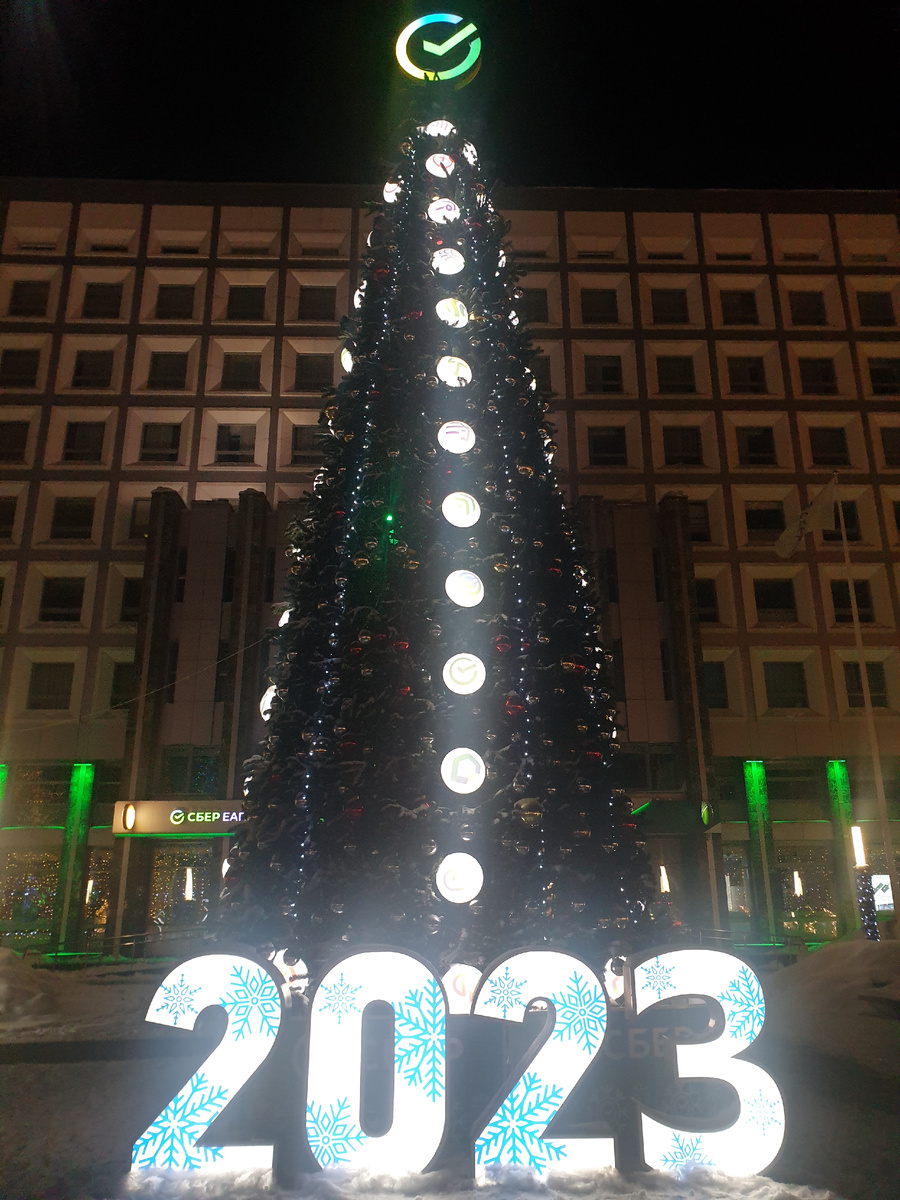 Одна из новогодних ёлок в центре города