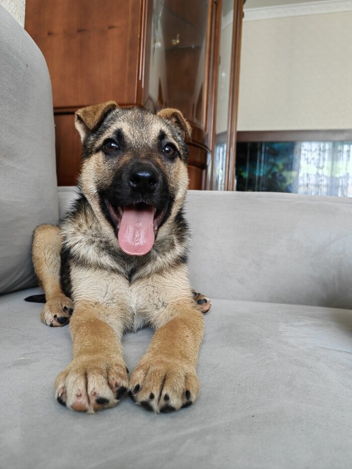 Листайте вправо, чтобы увидеть больше изображений