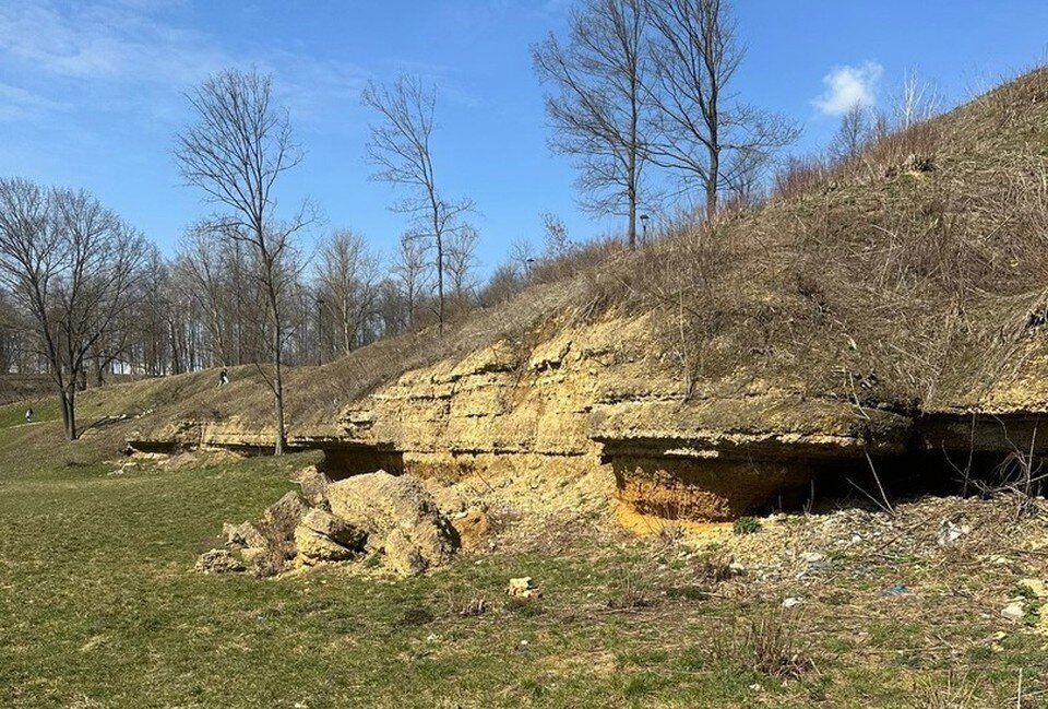     Фото: Анастасия Войницкая