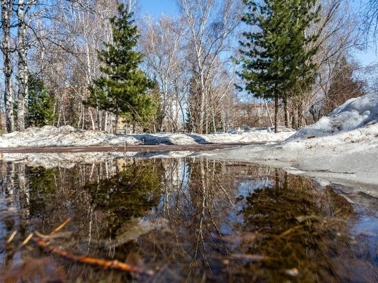     Фото: Густаво Зырянова/Сиб.фм