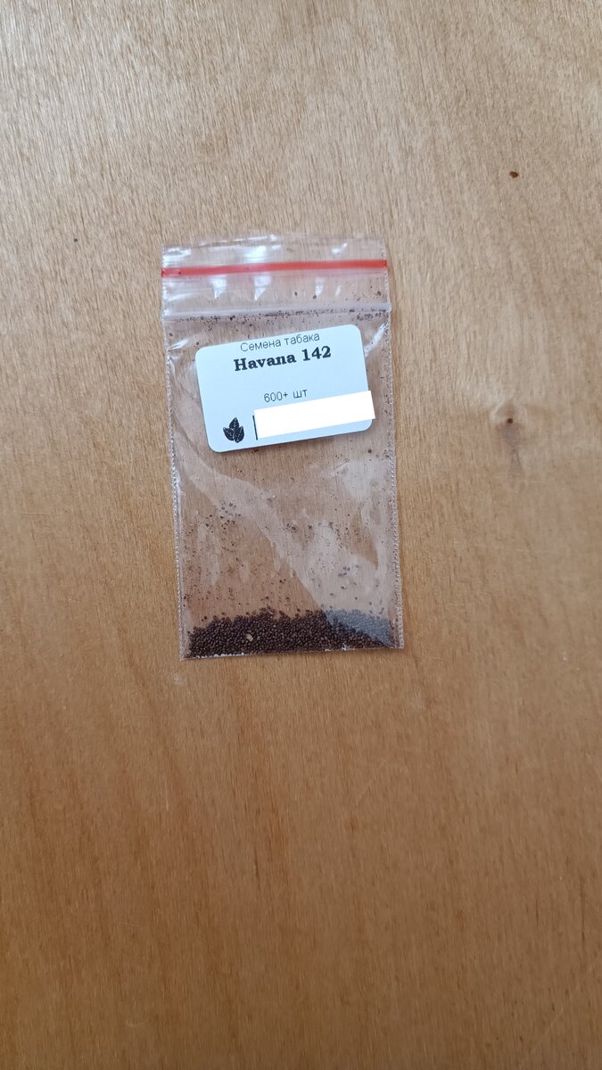 Все семена покупал на ВБ