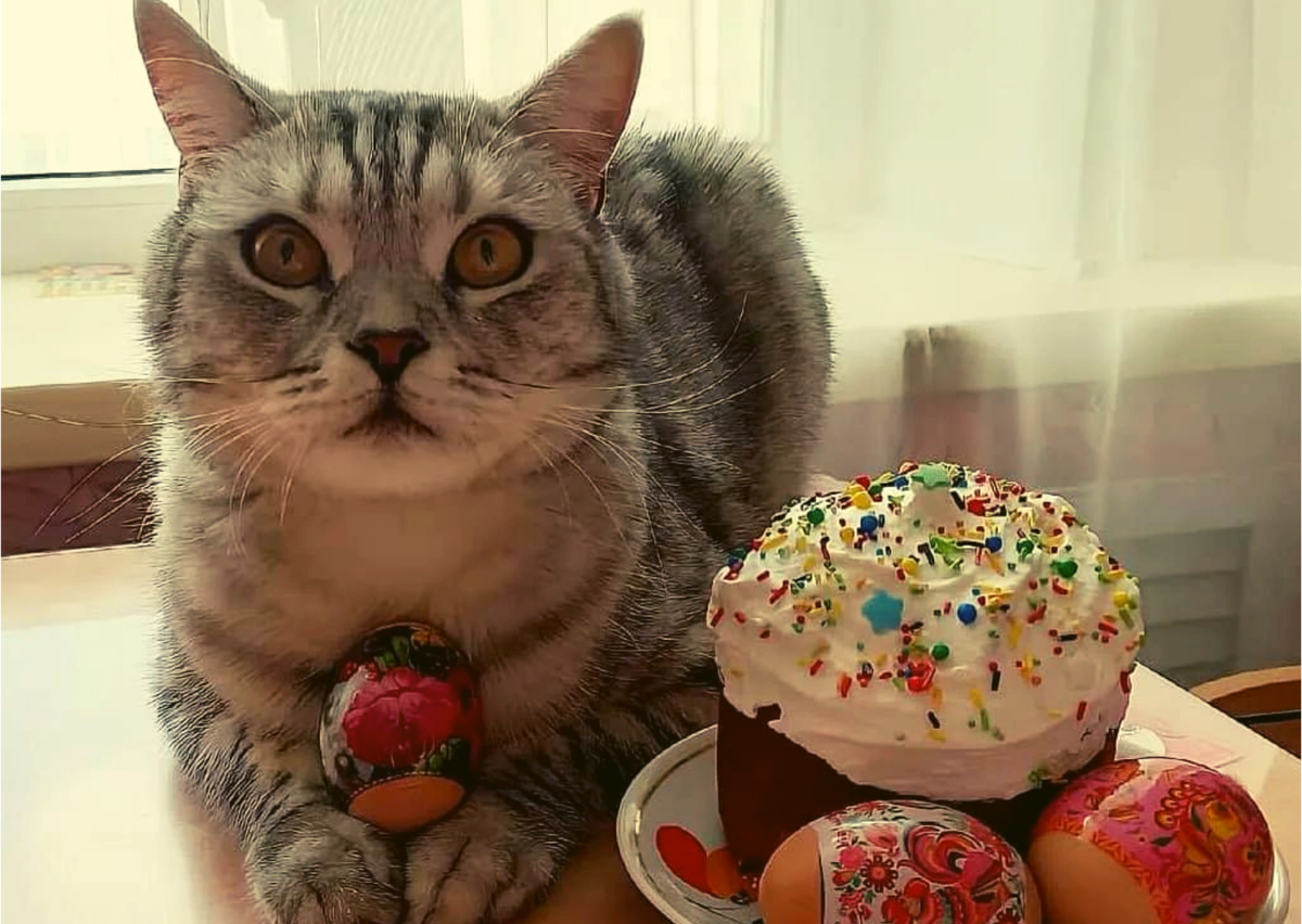 ���������� ������. ��������, ������� ���� �����. �������� ����: pikabu.ru