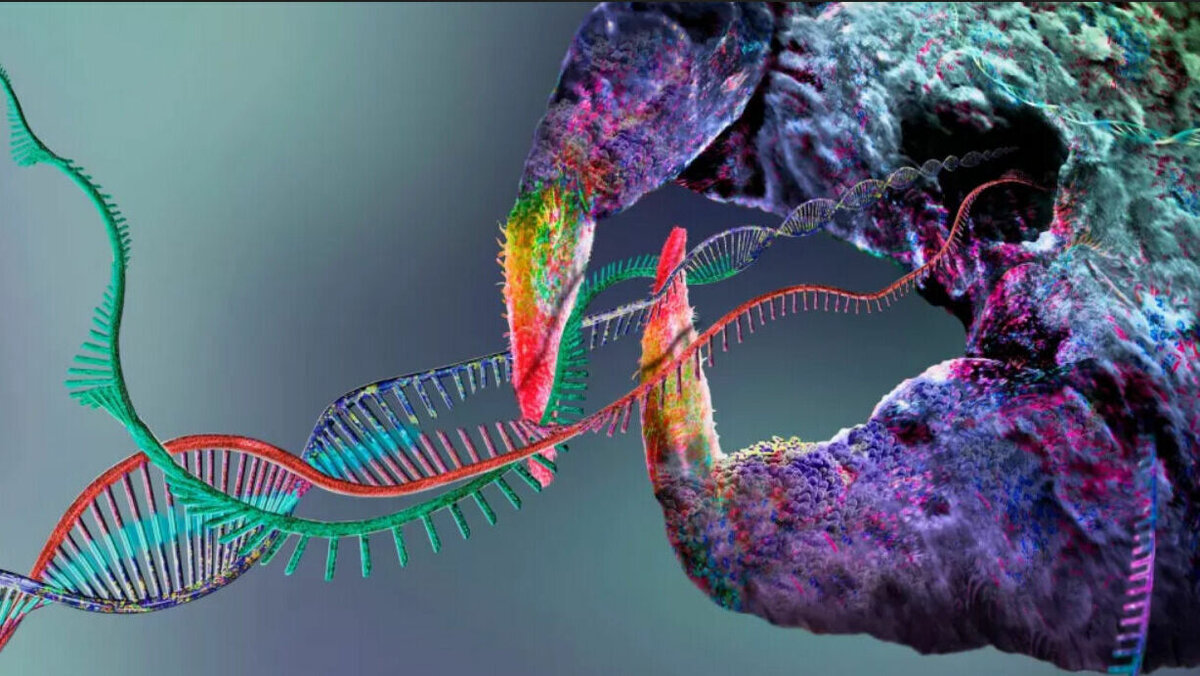 Лечение рака имплантацией жира успешно опробовано на мышах | НОВЫЕ ...