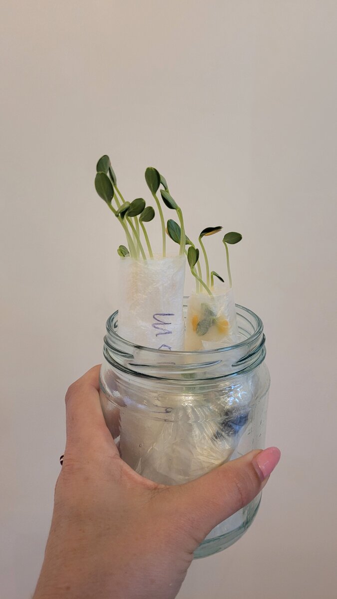 Вот они красавчики-малыши.