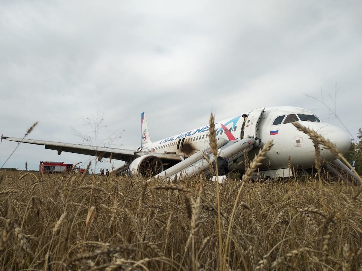 Рейс u6 8974. Самолет севший в поле под Новосибирском. Самолет сел в поле 2023. Аварийная посадка самолета Сочи Омск. Уральские авиалинии самолет в поле под Новосибирском.