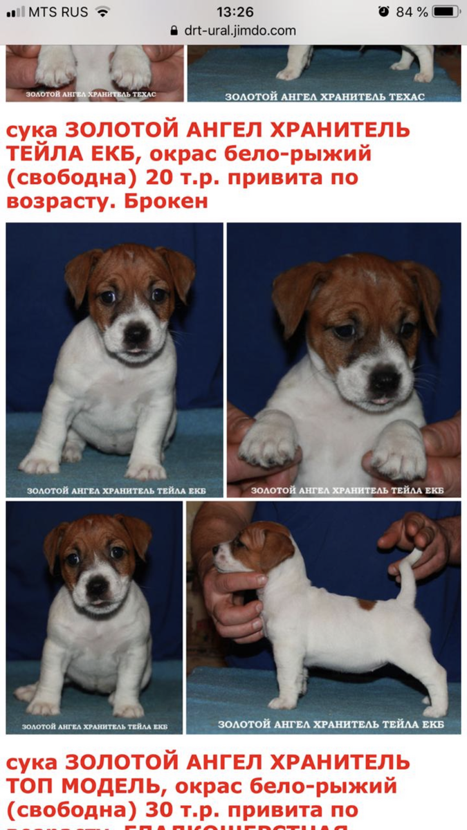 Вот , я влюбилась 