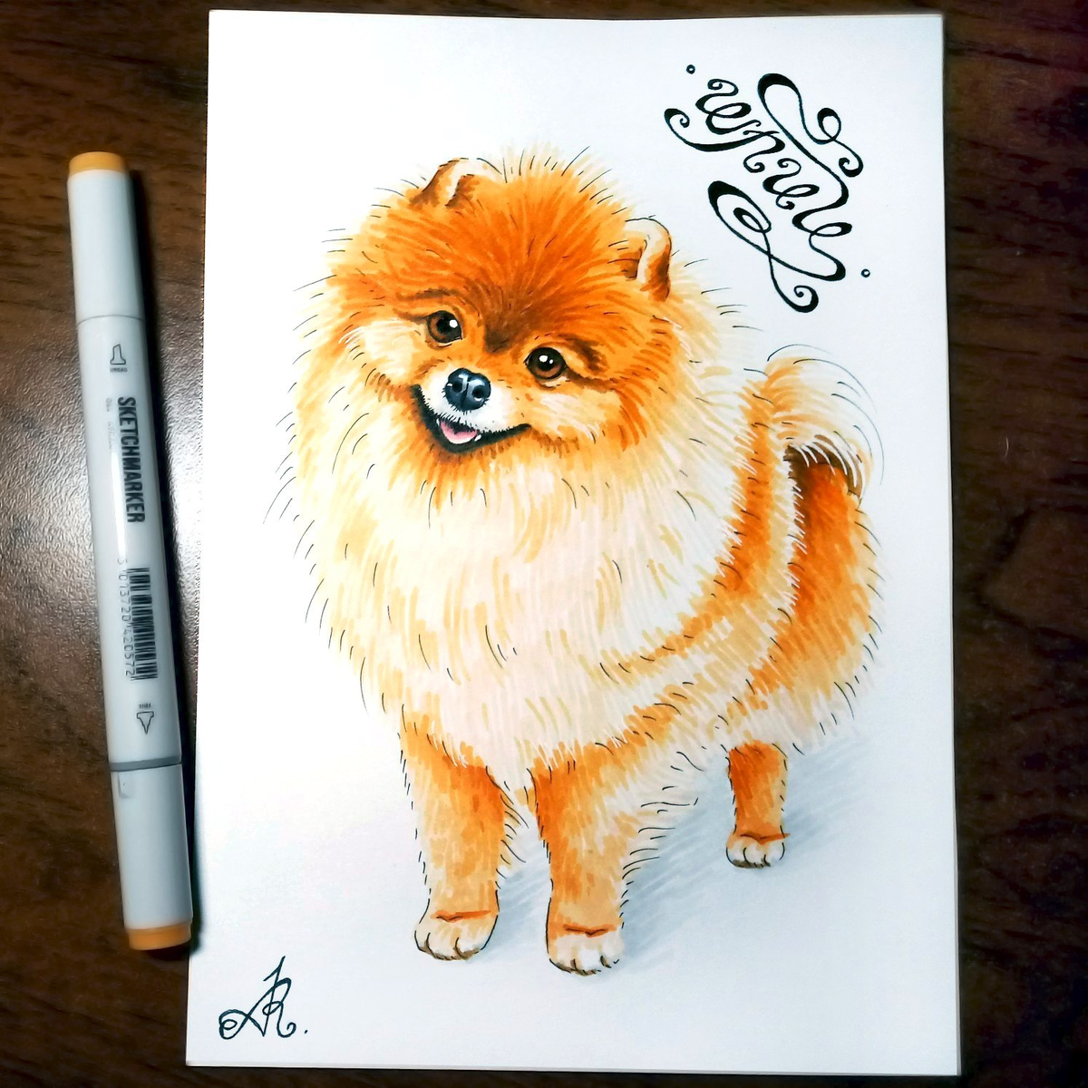Шпиц (А5, маркеры) Скетч Александры Молчановой  https://vk.com/angelroz_art