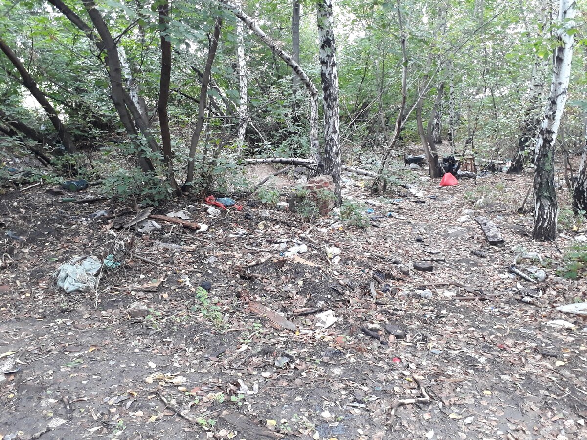 Вот такая картина с зеленой зоне, в ГОРОДЕ. Мусорные кучи.