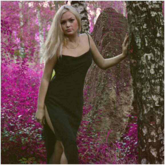 Источник фото: pixabay.com