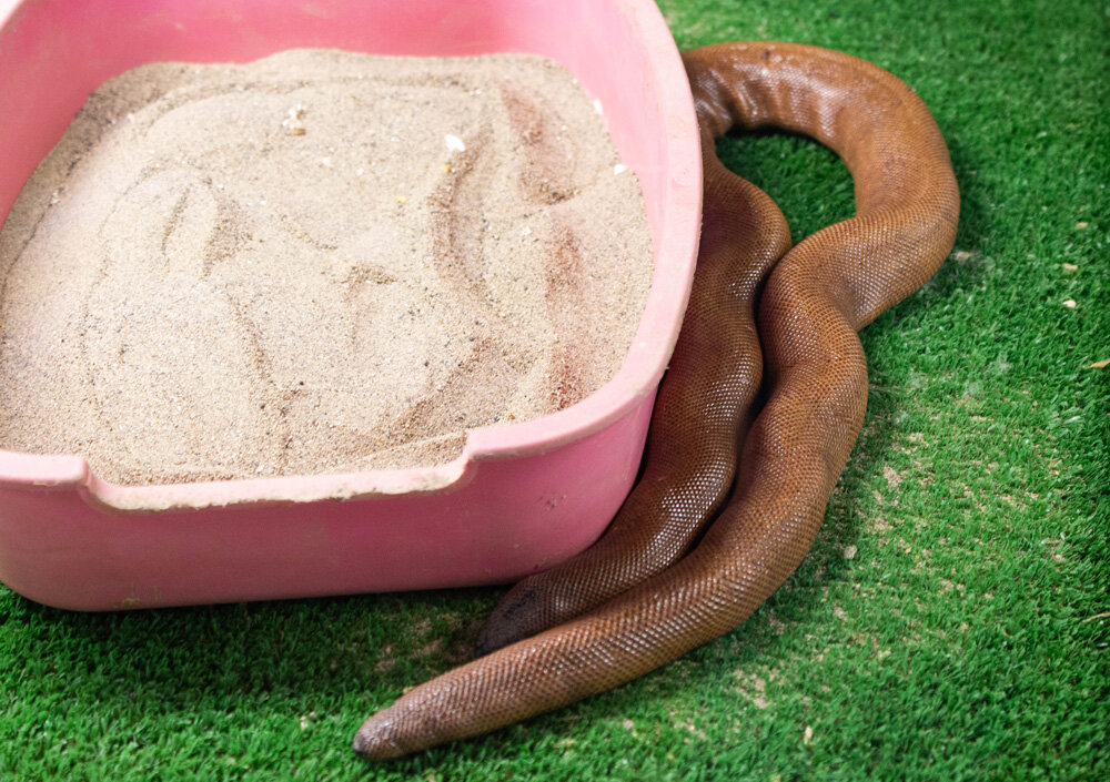 Фото из личного архива