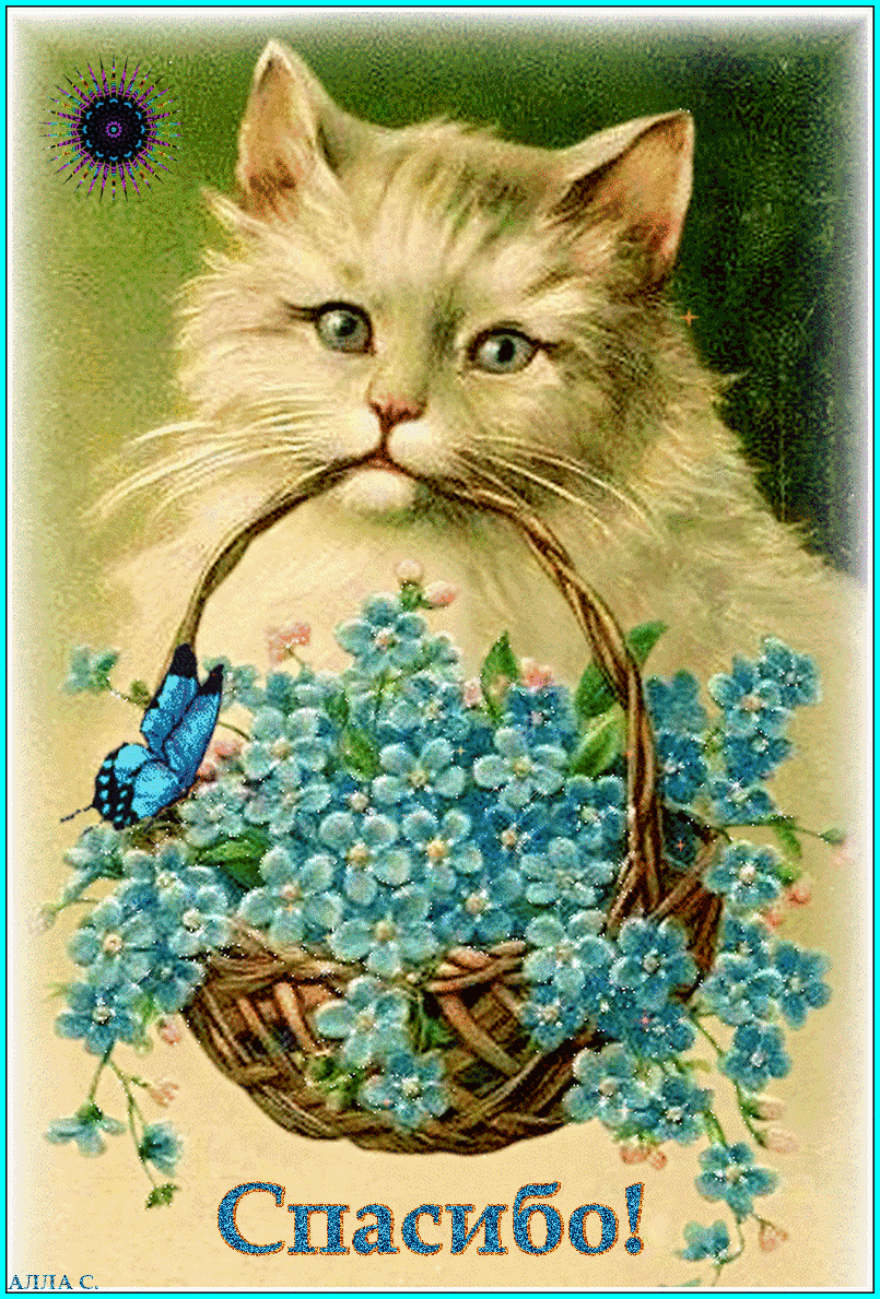 Поздравление кошечки. Винтажные открытки. Котик поздравляет. Винтажные открытки с днем рождения. Котик с цветами открытка.