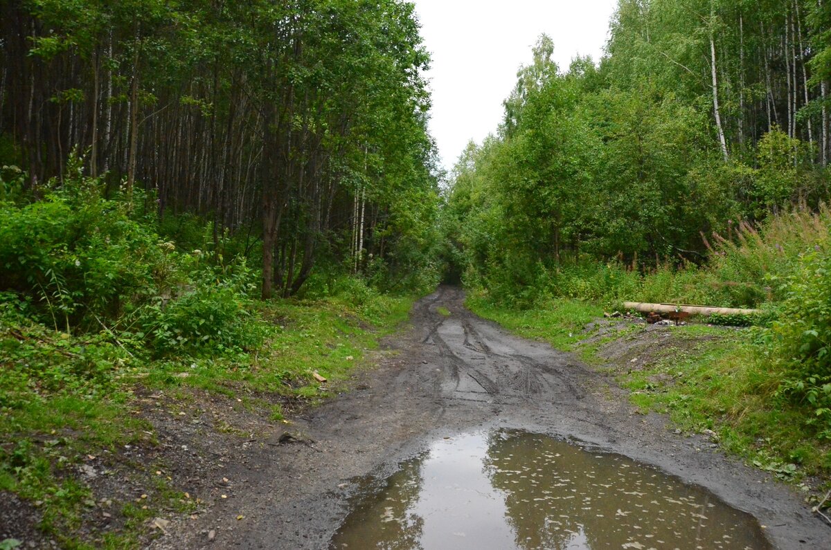 Дорога к тоннелю