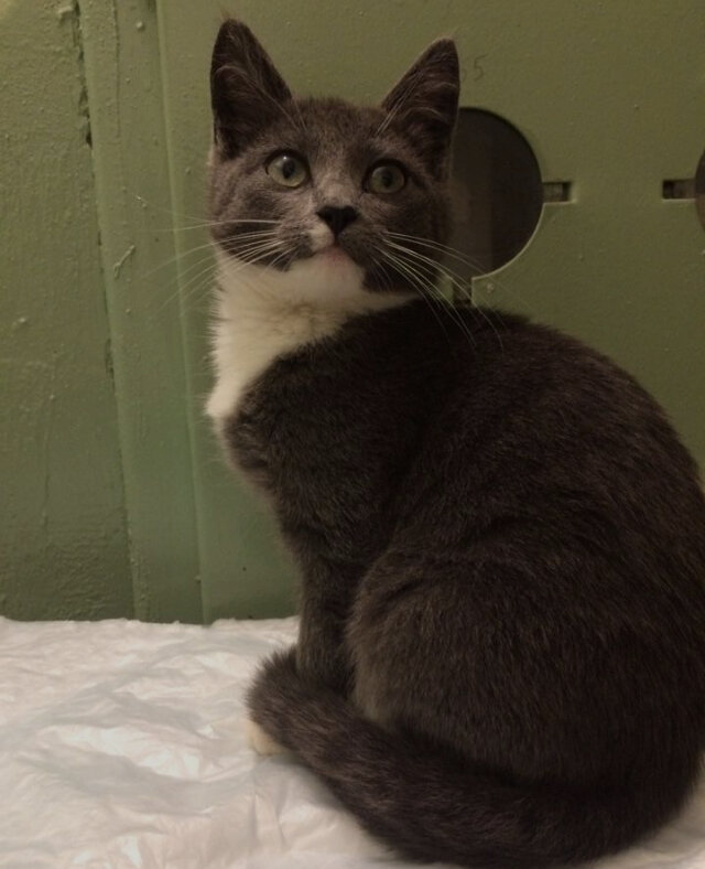 К сожалению хозяйка прислала лишь одну фотографию.