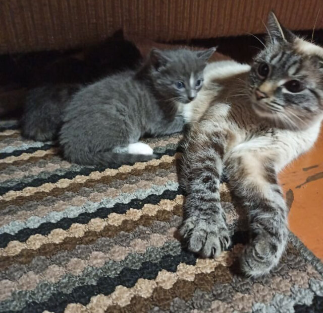 Также фото из интернета.