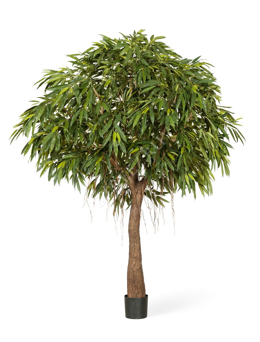 Искусственная Лонгифолия Роял Кабана на толстом стволе арт. 10.57009N. Treez Collection.