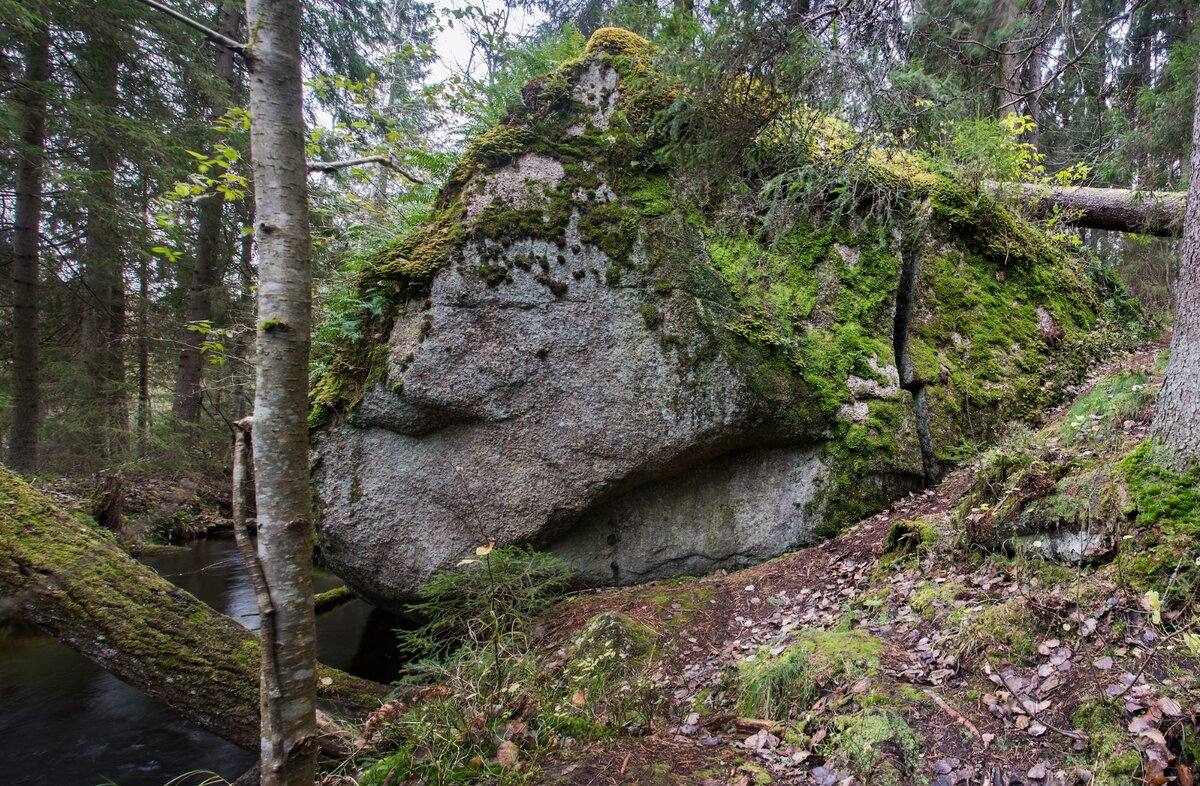 Гладышевский заказник фото