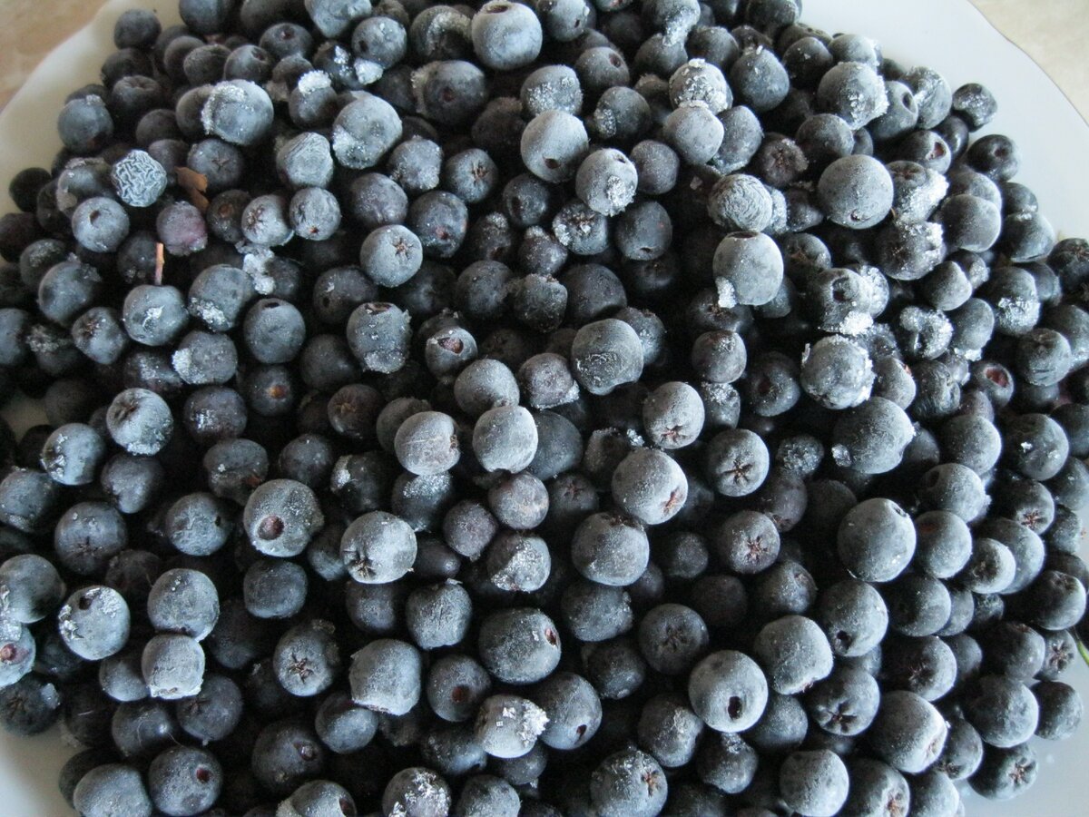 замороженная ягодка