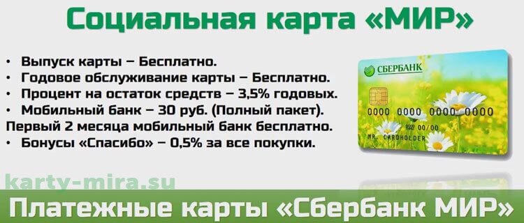 Нужно ли менять карту. Карта мир Сбербанк. Пенсионная карта мир. Карта Сбербанк социальная карта мир. Карта мир Сбербанк для детских пособий.