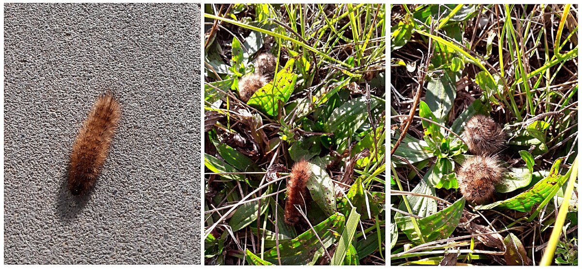 Снято фото в г. Москве  Урядовой Светланой.