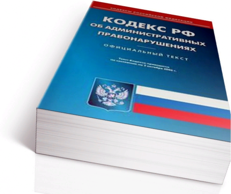 Фото с Яндекс картинок