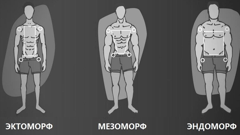 Три типа телосложения 