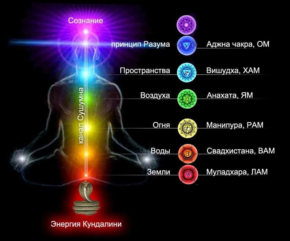Согласно различным духовным практикам есть 7 основных энергетических центров сознания – чакр.