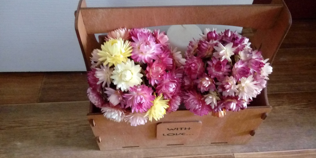 Цветы не в букетах? А как? Сухоцветы в интерьере по-новому!