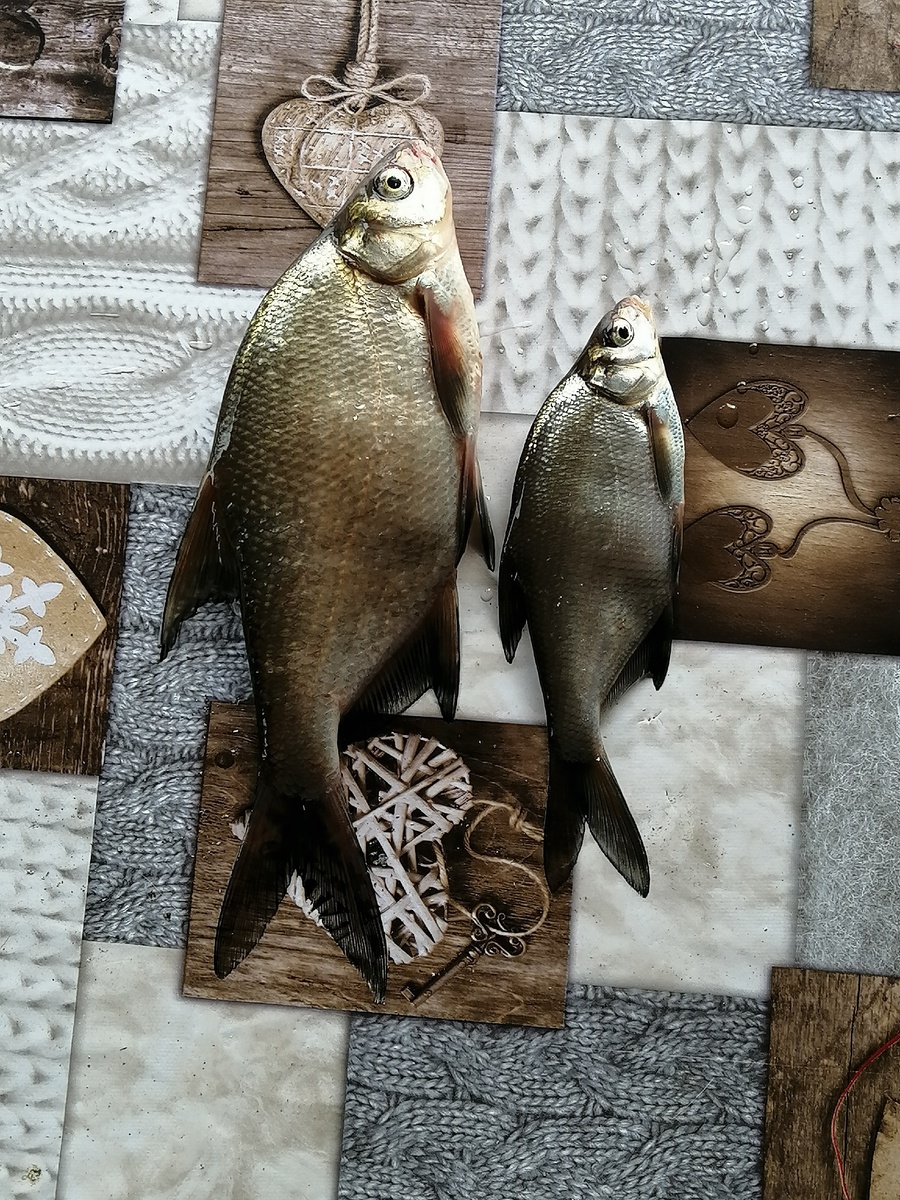 Вот и весь улов😄