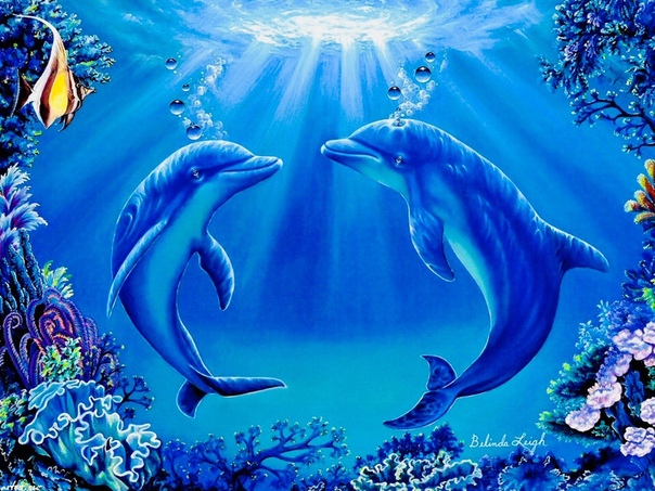 Картинка взята из Яндекса