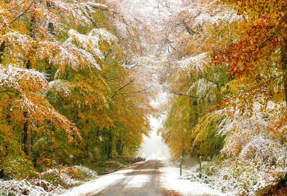 Пейзажи первого снега