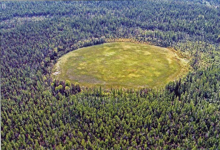 Как сейчас выглядит место падения тунгусского метеорита фото