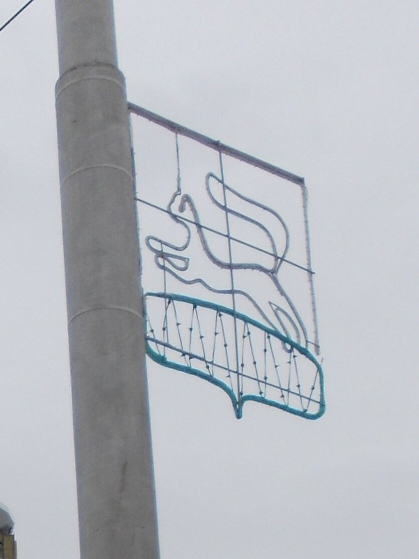 Куницы в Уфе встречаются буквально на каждом столбе