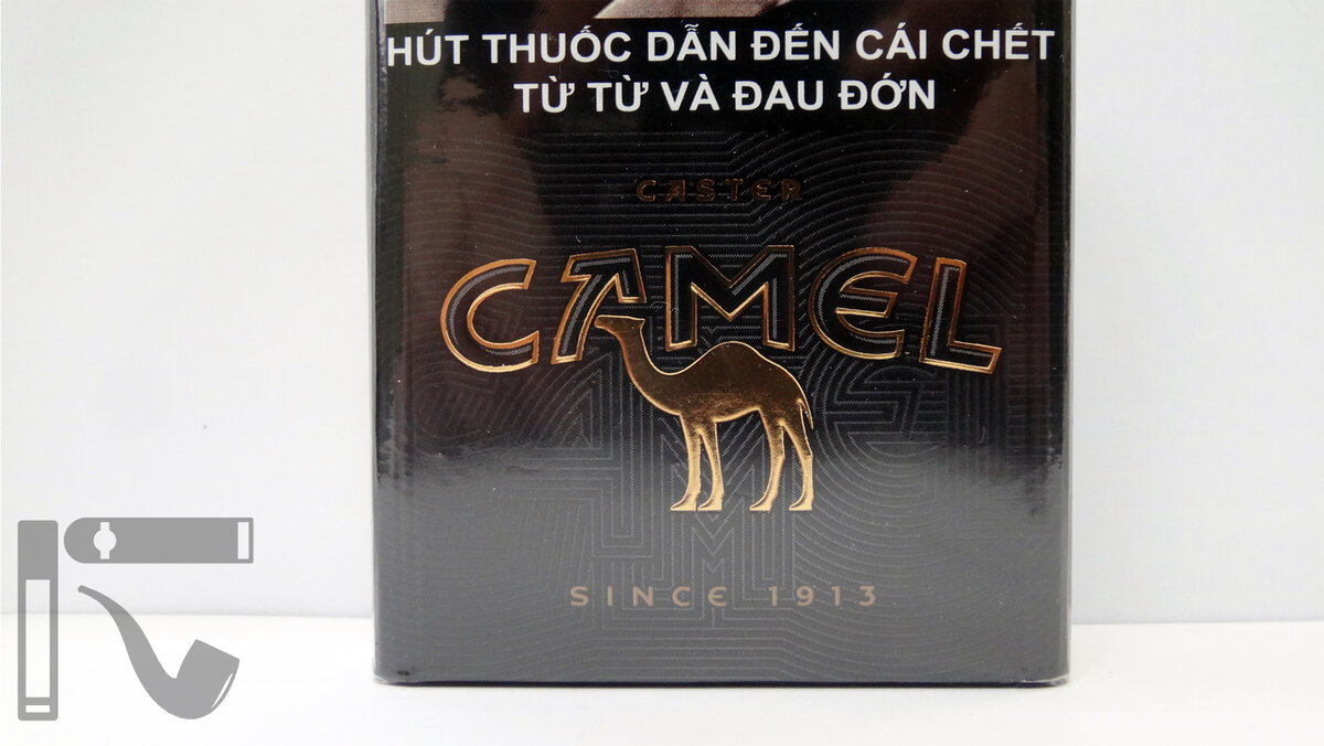 Camel 2025 black lss