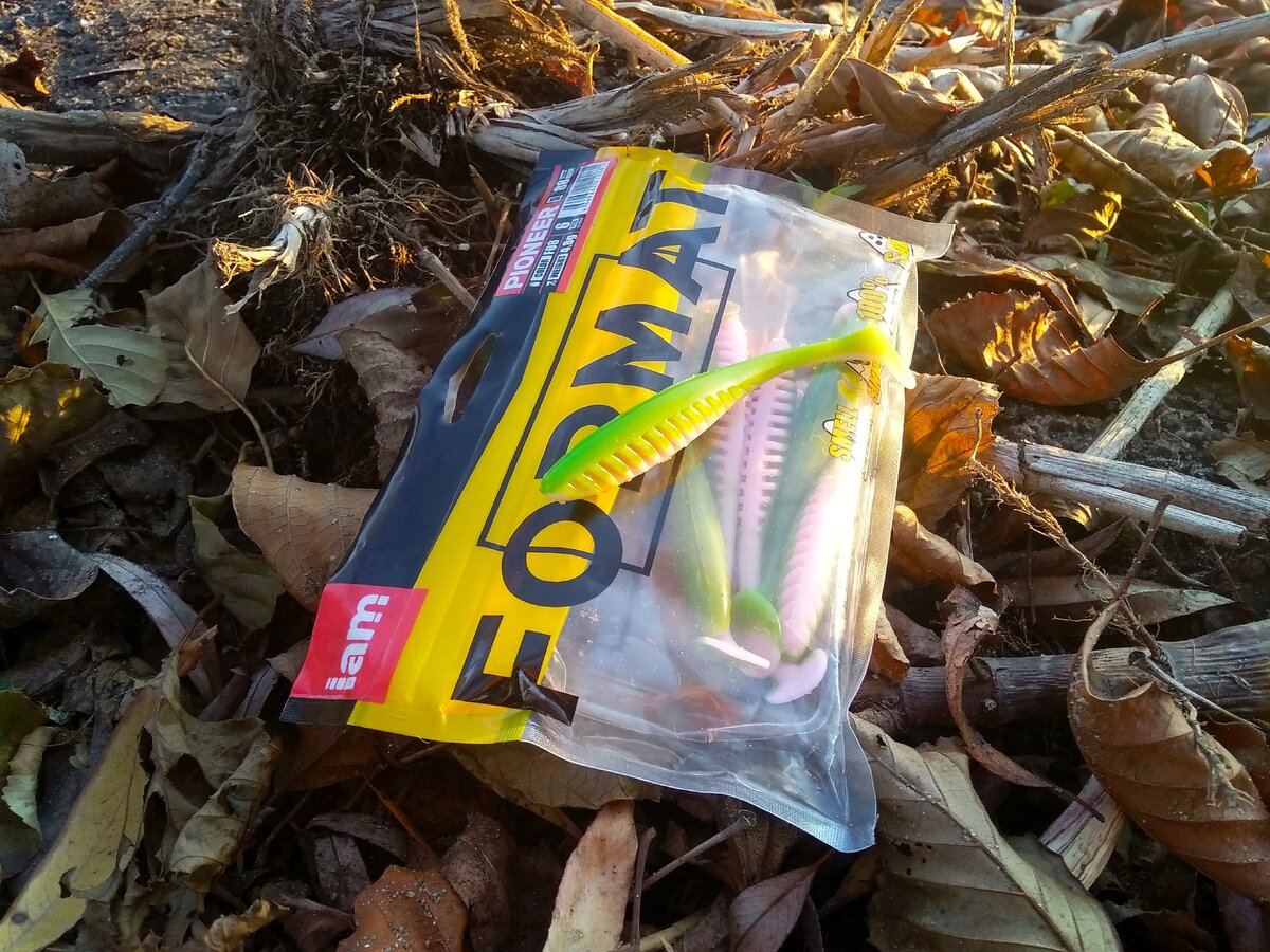 Iam Format Pioneer 88